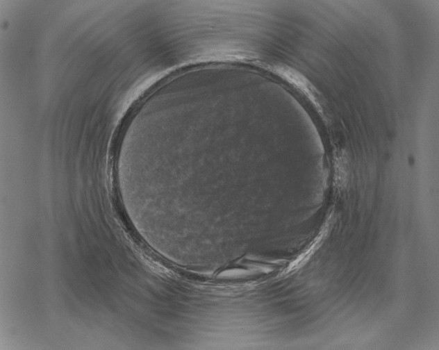 X0000067881077200605111819