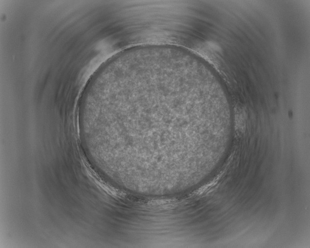 X0000067881078200605111819