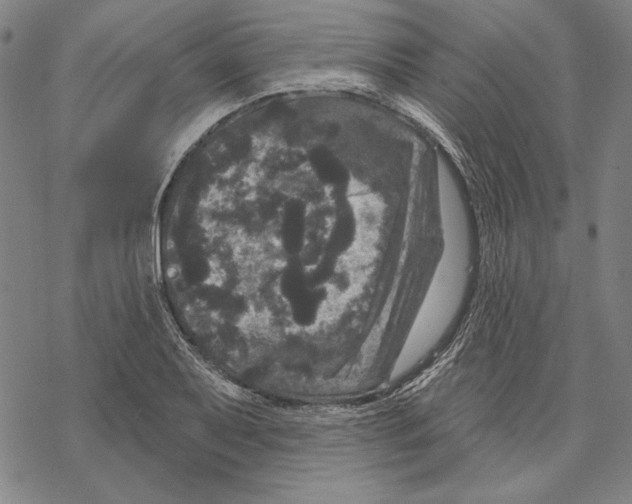 X0000067881079200605111819