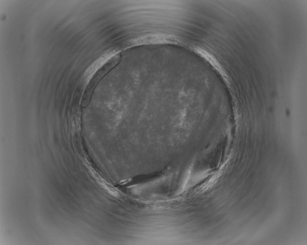X0000067881081200605111819