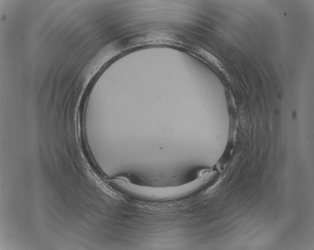 X0000067881082200605111819