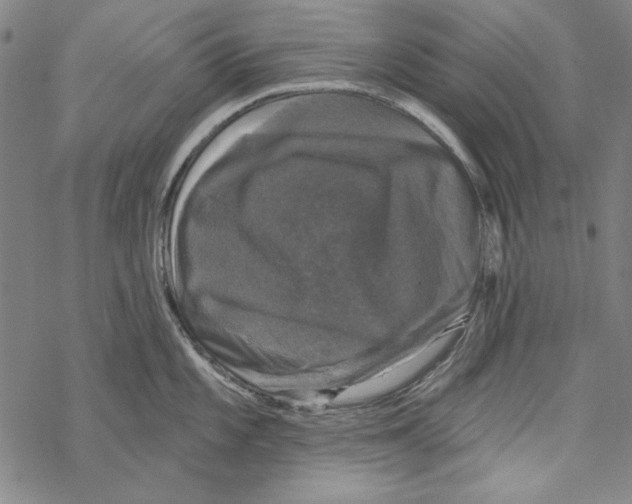 X0000067881101200605111819