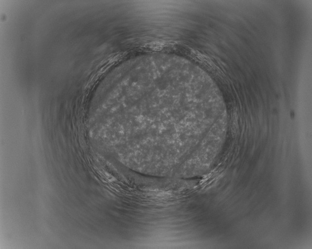 X0000067881105200605111818