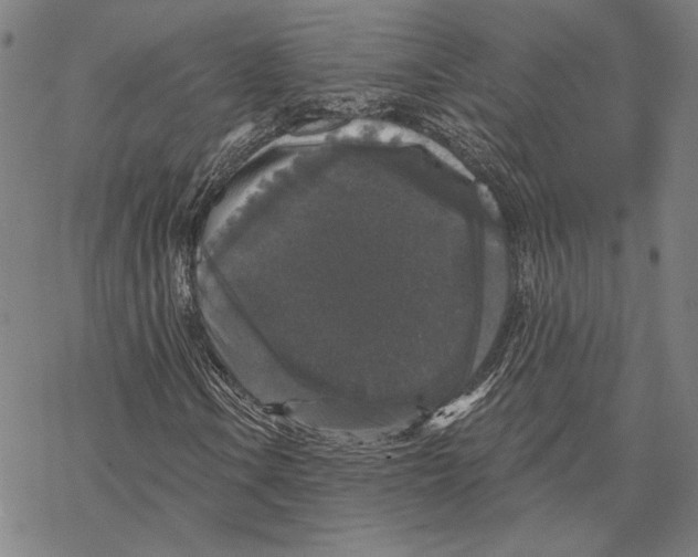 X0000067881106200605111818