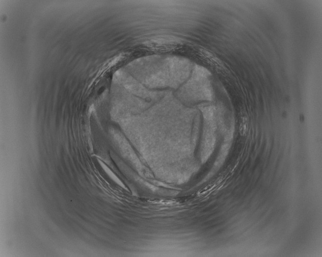 X0000067881108200605111818