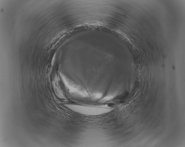 X0000067881110200605111818