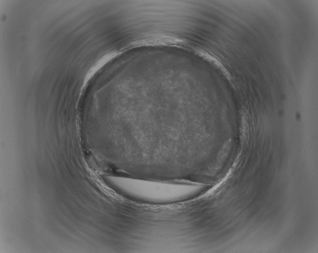 X0000067881114200605111818