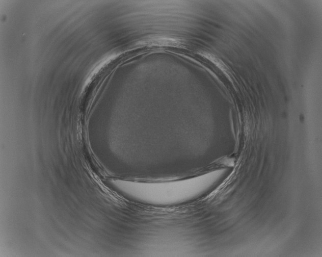 X0000067881115200605111818