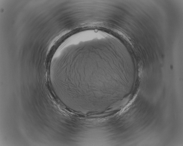 X0000067881117200605111818