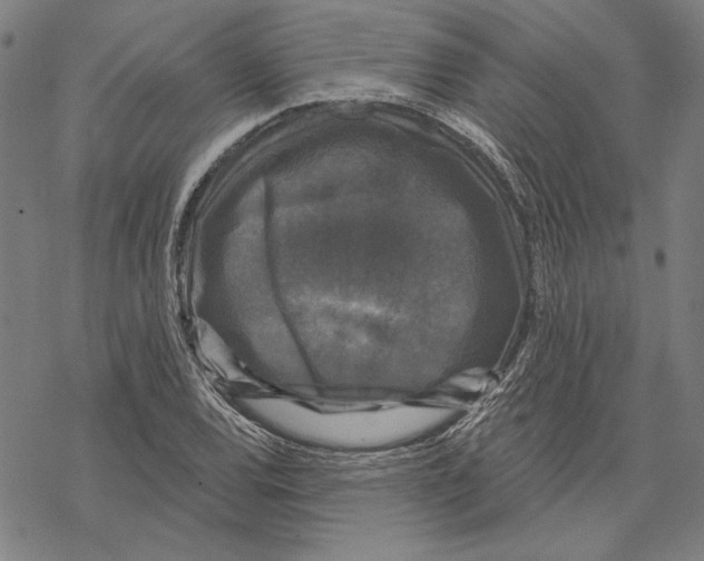 X0000067881120200605111818