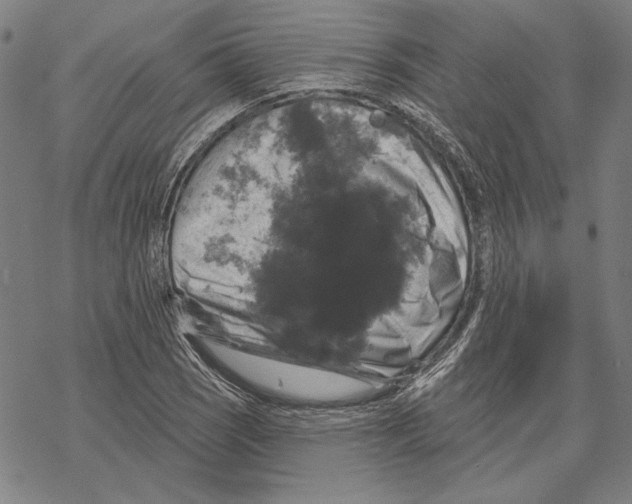 X0000067881121200605111818