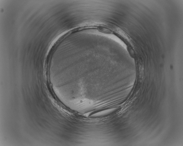 X0000067881124200605111818