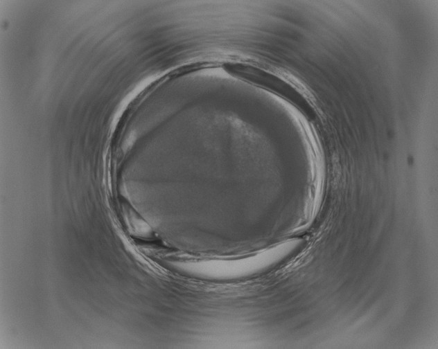 X0000067881128200605111818