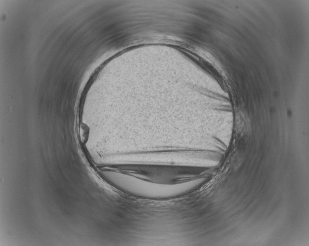 X0000067881136200605111818