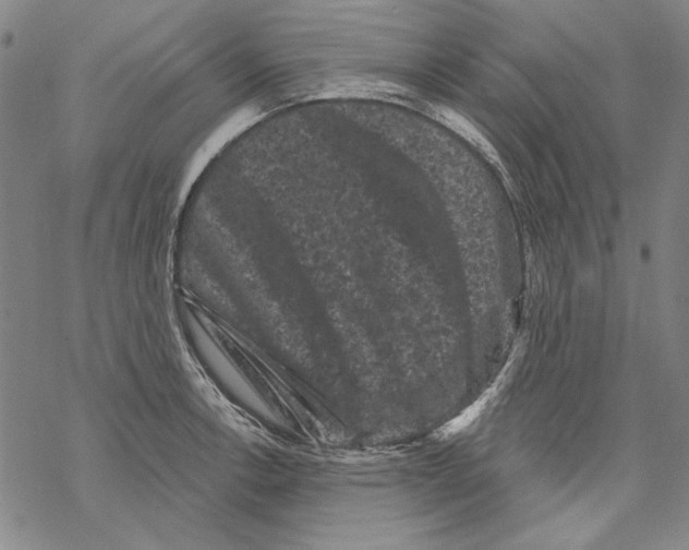 X0000067881138200605111818