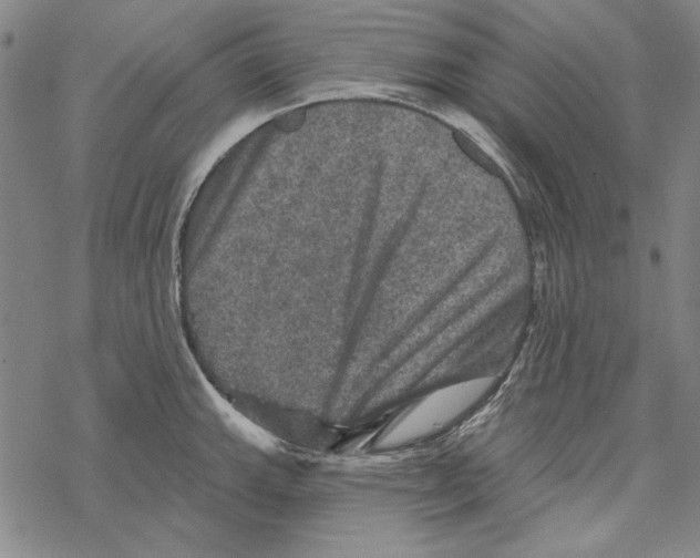 X0000067881143200605111818