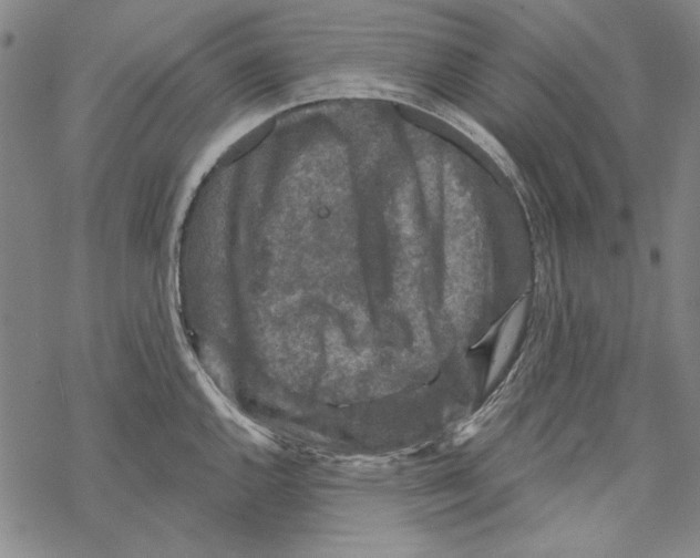 X0000067881144200605111818