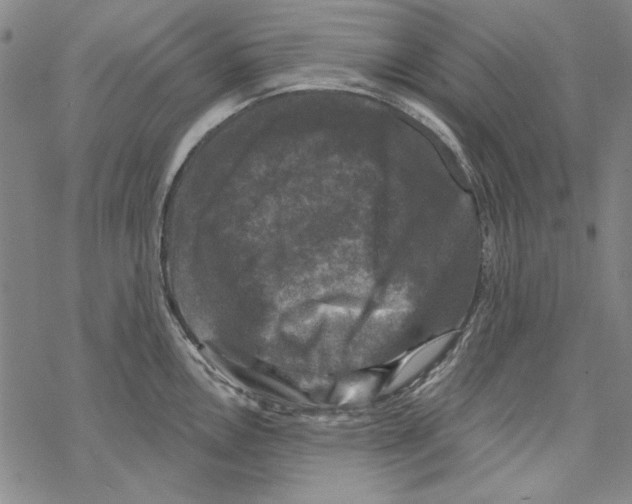 X0000067881146200605111818