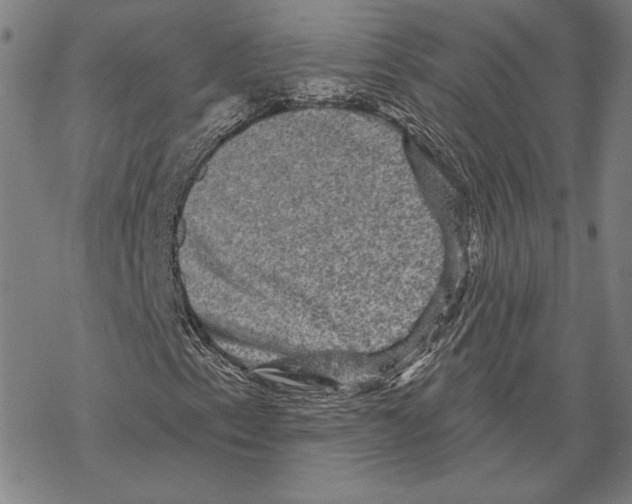 X0000067881153200605111818