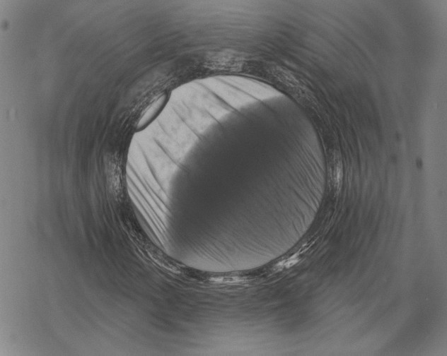 X0000067881154200605111818