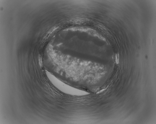 X0000067881155200605111818