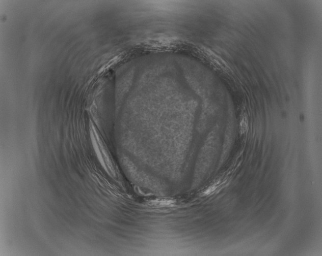 X0000067881156200605111818