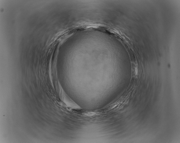 X0000067881157200605111818