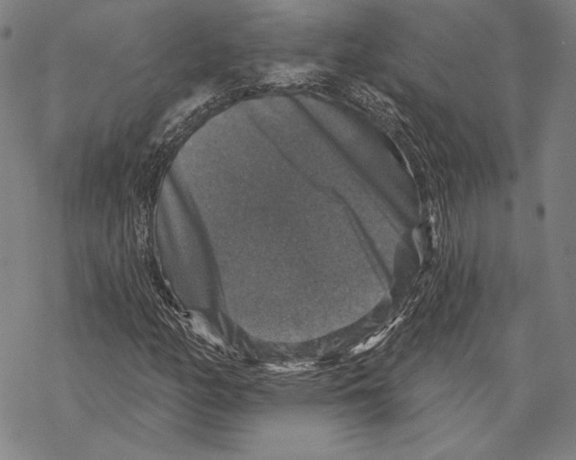 X0000067881158200605111818