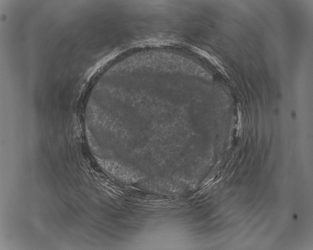 X0000067881160200605111818