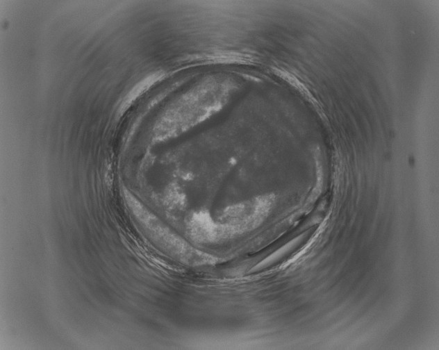 X0000067881163200605111817
