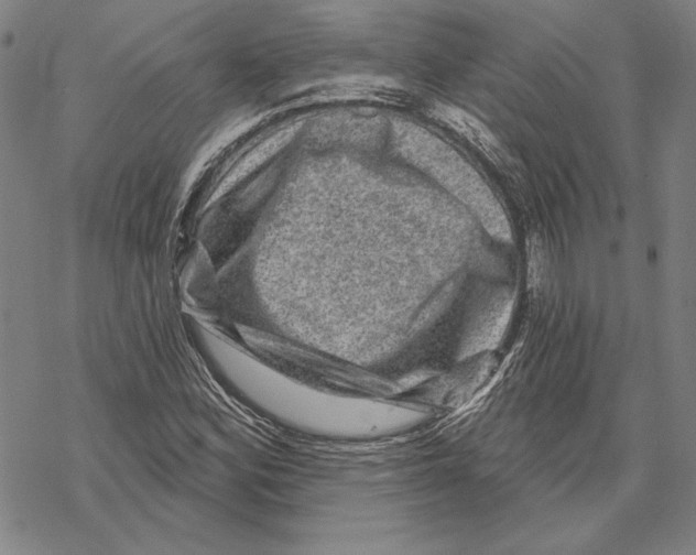 X0000067881164200605111817