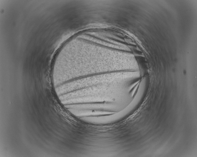 X0000067881168200605111817