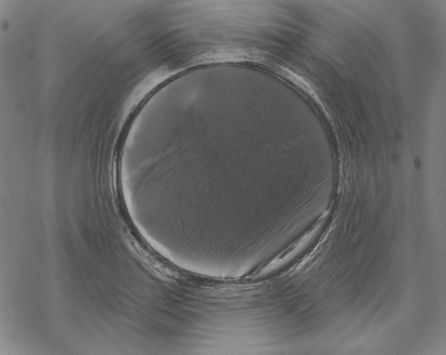 X0000067881179200605111817