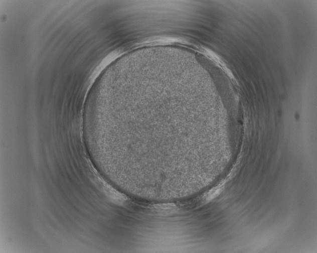 X0000067881186200605111817