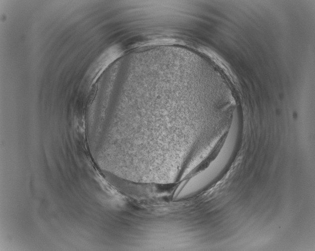 X0000067881193200605111817