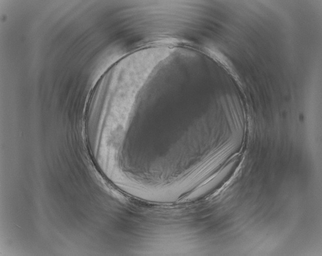 X0000067881194200605111817