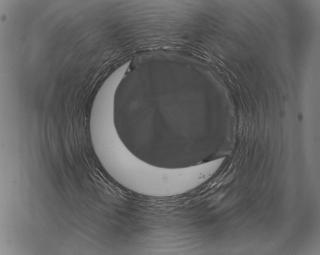 X0000067881202200605111816