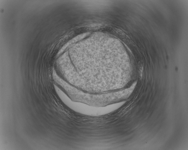 X0000067881204200605111816