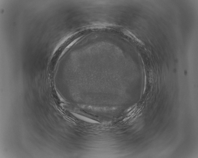 X0000067881208200605111816