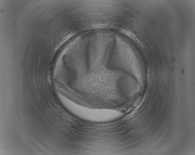 X0000067881209200605111816