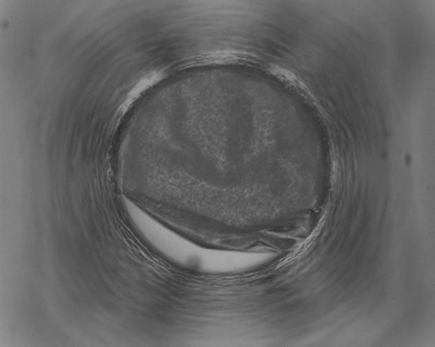 X0000067881210200605111816