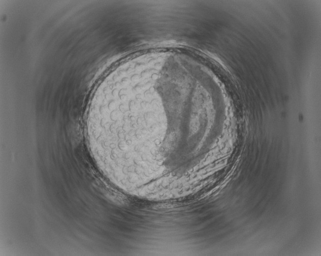 X0000067881212200605111816