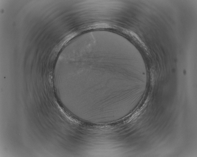 X0000067881225200605111816