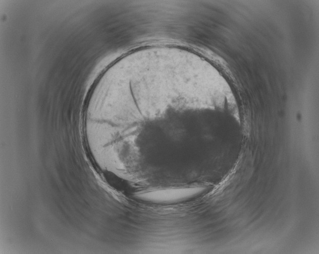 X0000067881231200605111817