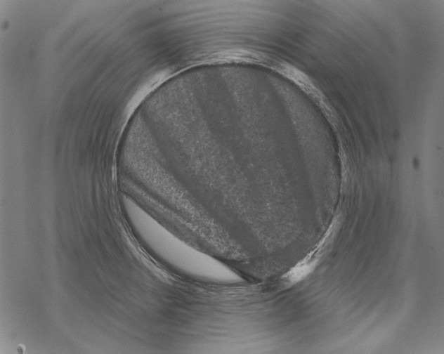X0000067881234200605111817