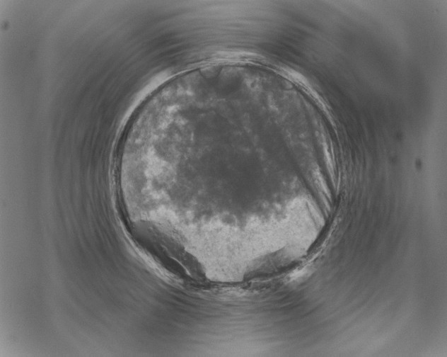 X0000067881235200605111817