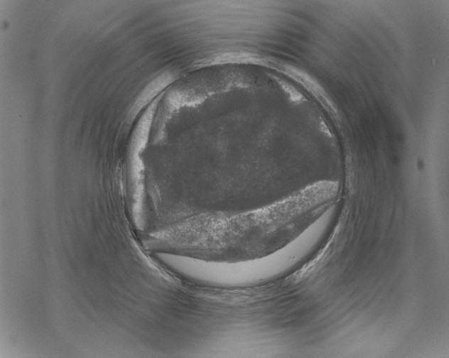 X0000067881241200605111817