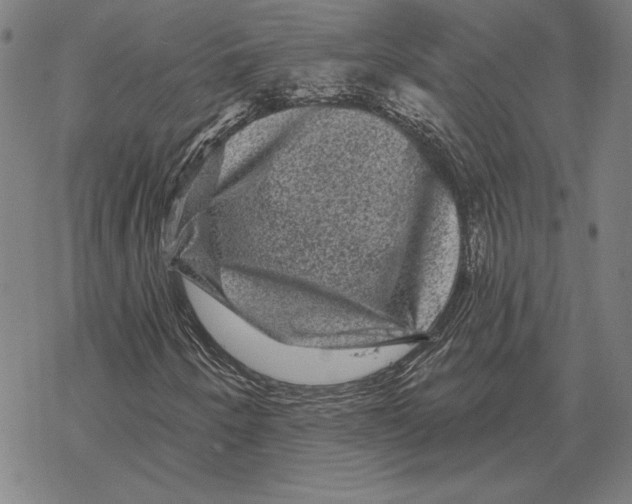 X0000067881250200605111816