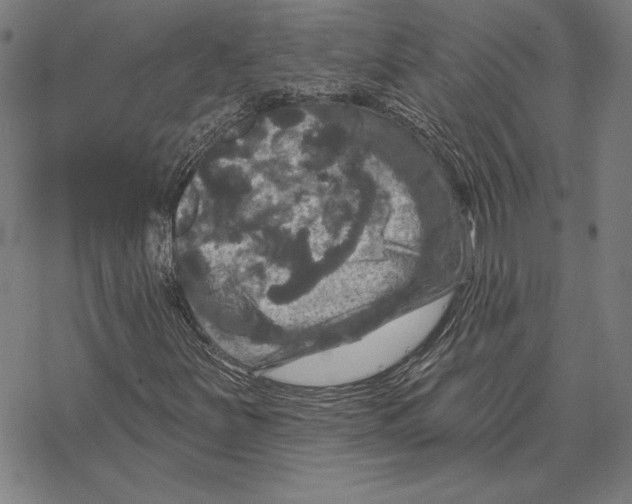 X0000067881251200605111816