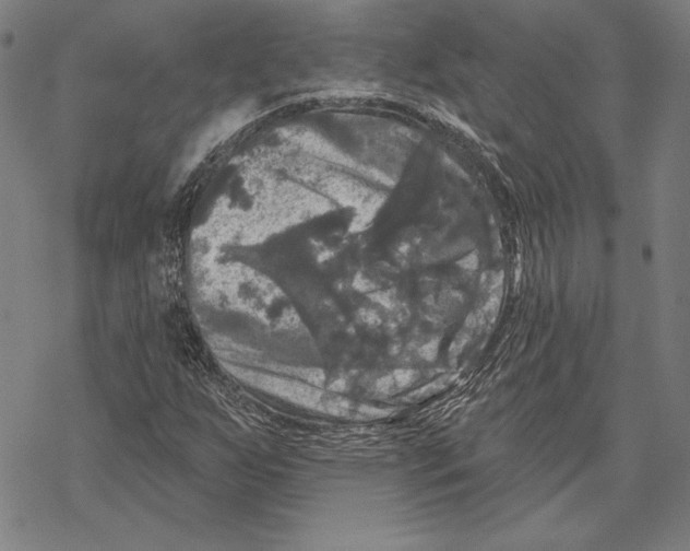 X0000067881255200605111816